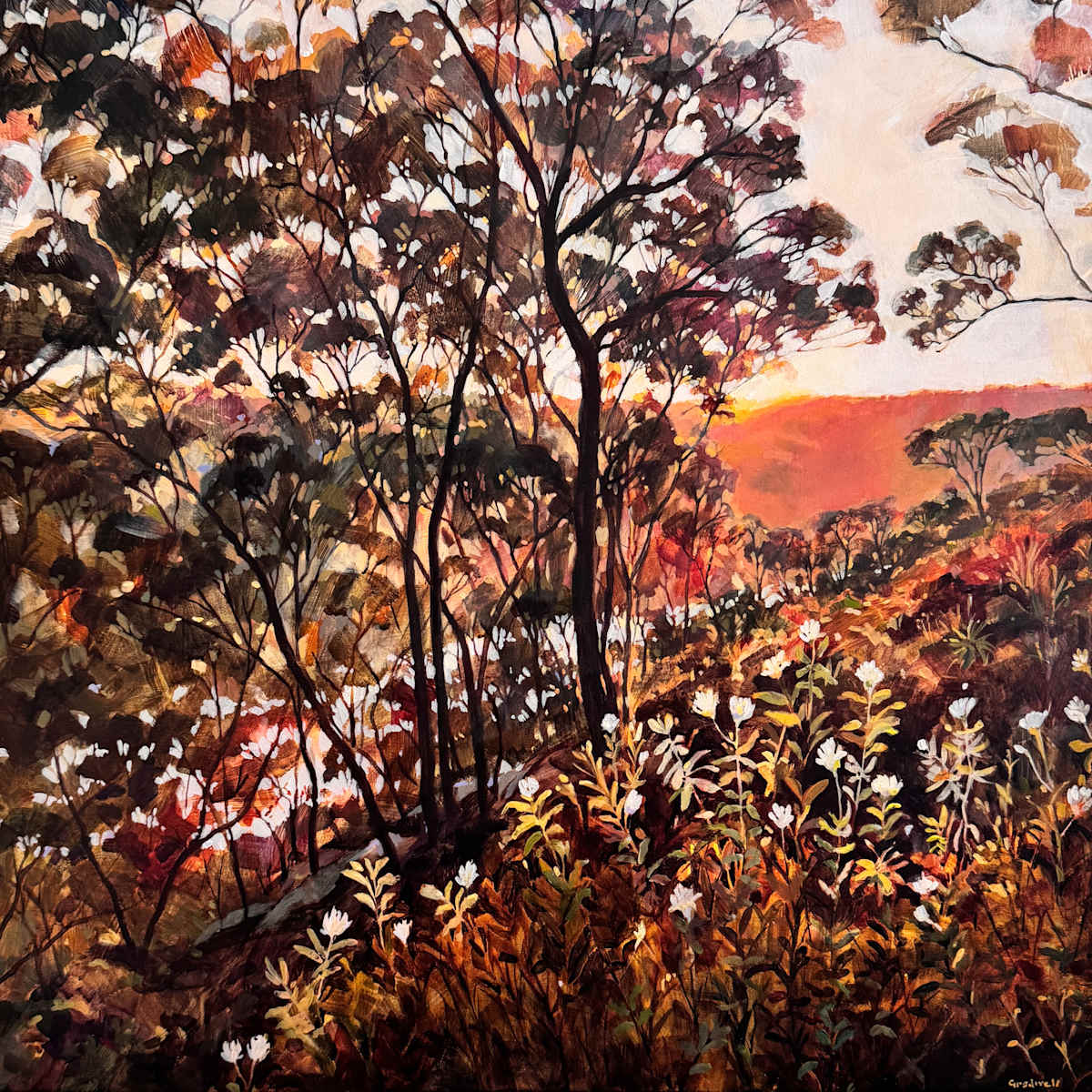 Chameleon Days by Kate Gradwell, Image 3.