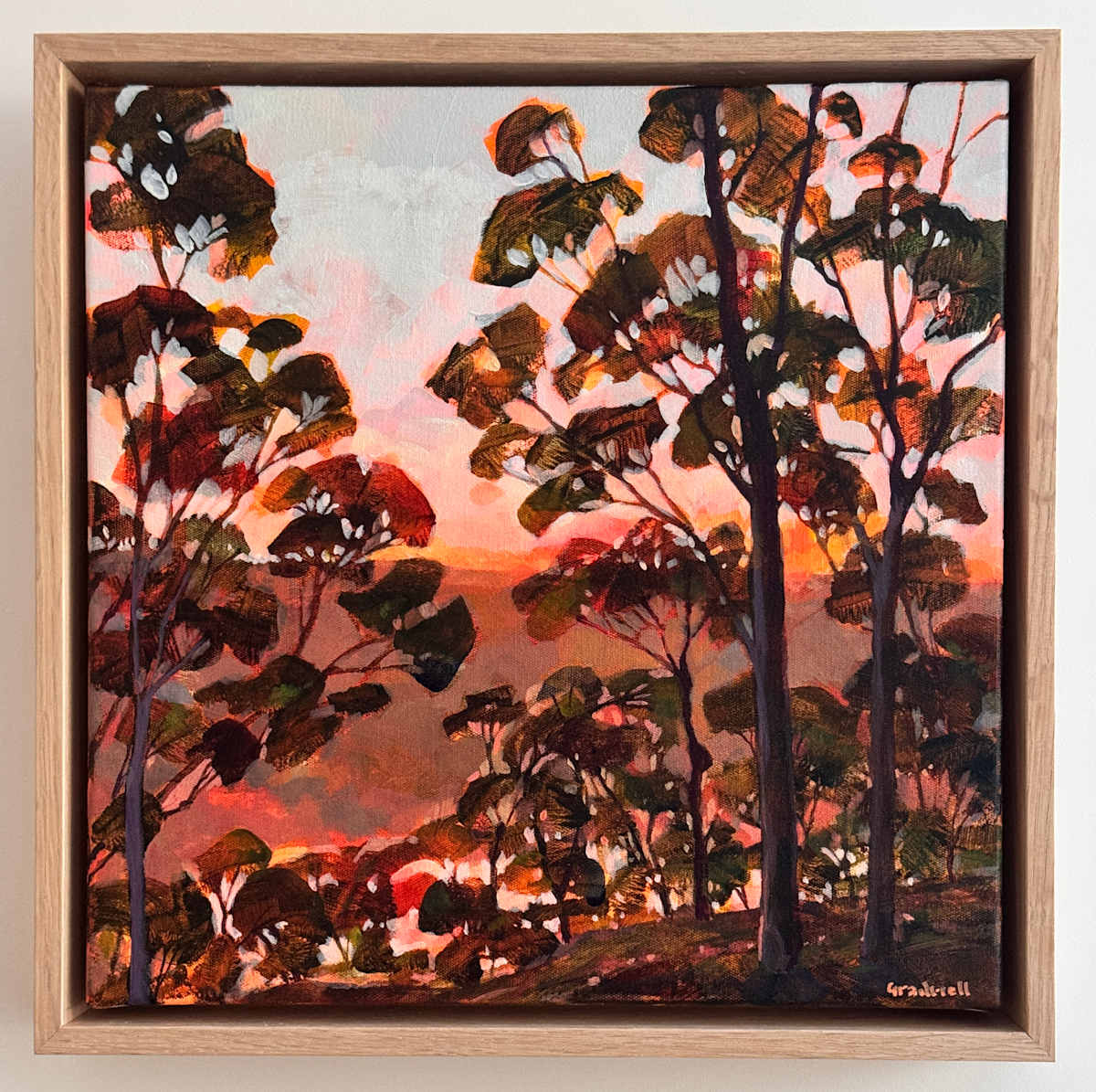 Middle Harbour Glow by Kate Gradwell, Image 1.