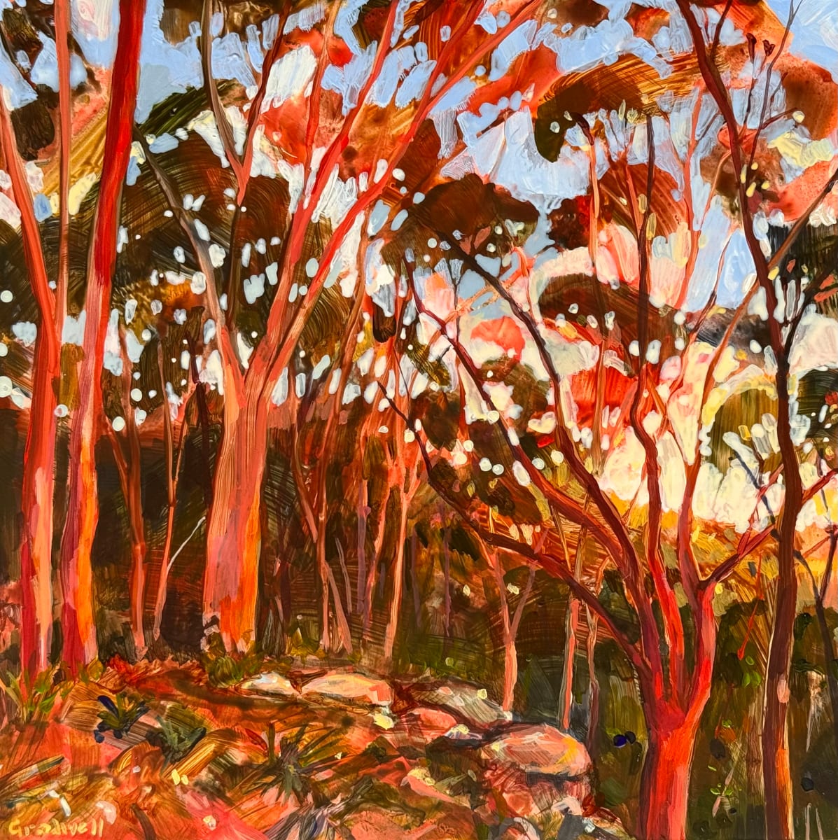 Red Evening by Kate Gradwell 