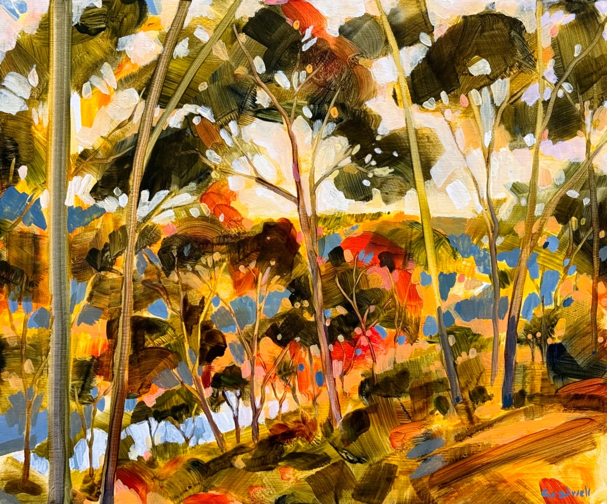 Bright View by Kate Gradwell 