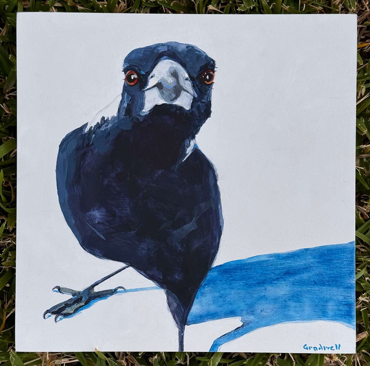 A Little Close For Comfort by Kate Gradwell 