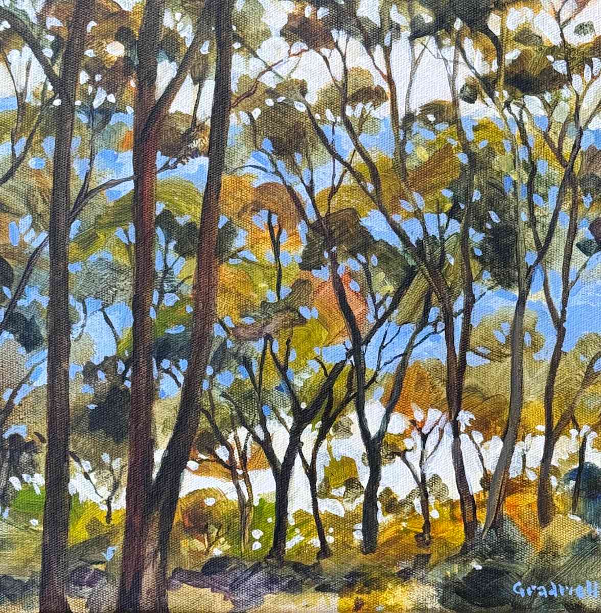 Whispering Trees, Dancing Reflections by Kate Gradwell 