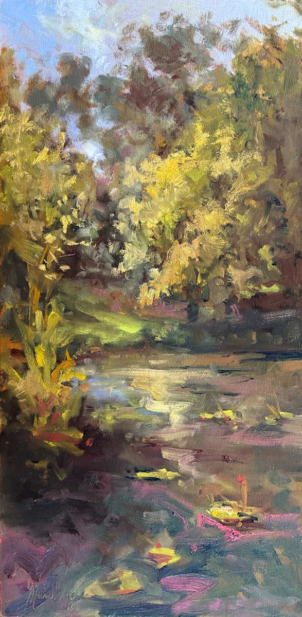 The Lake, Mt Cootha Botanic Gardens by Jason Hawkins 