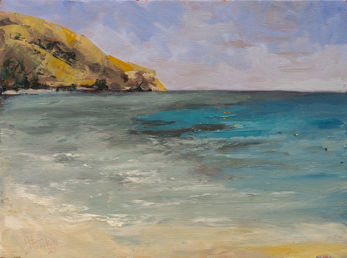 Fiji Plein Air Study 1 by Jason Hawkins 