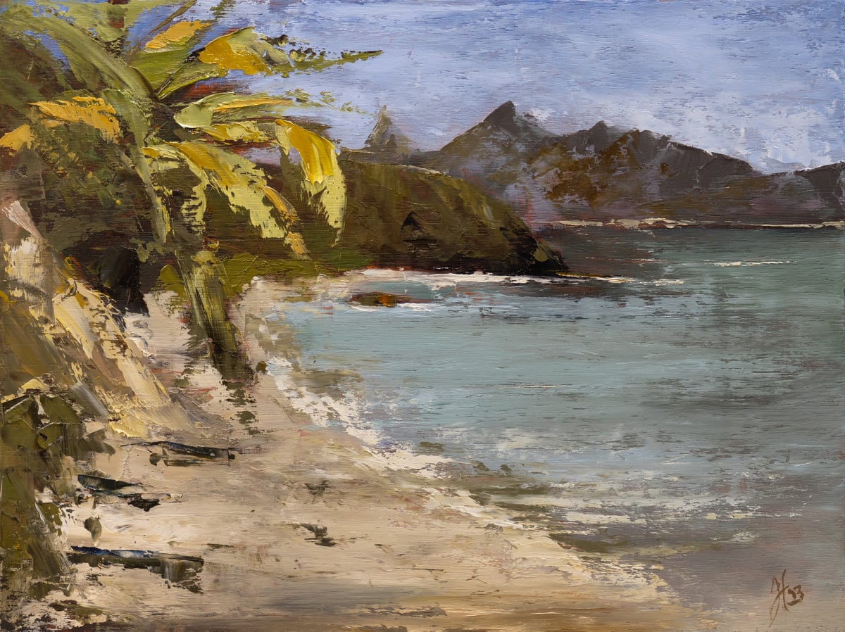 Fiji Plein Air Study 2 by Jason Hawkins 