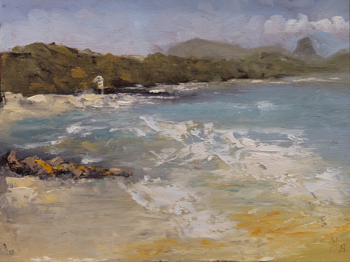 View from Little Cove, Noosa by Jason Hawkins 