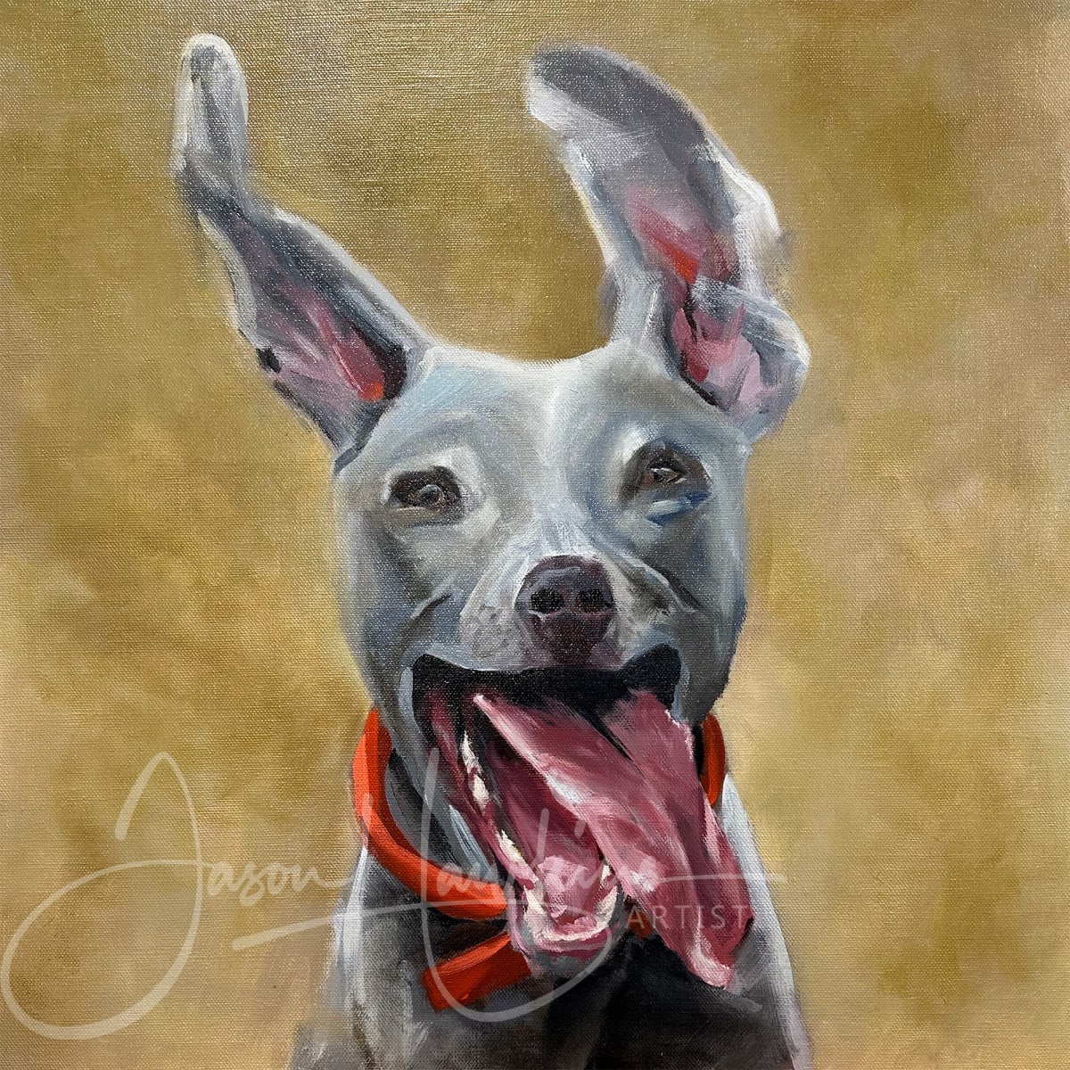 Baxter by Jason Hawkins 