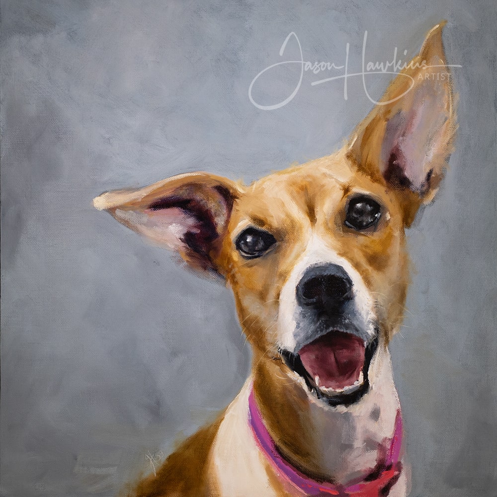 Chilli by Jason Hawkins 