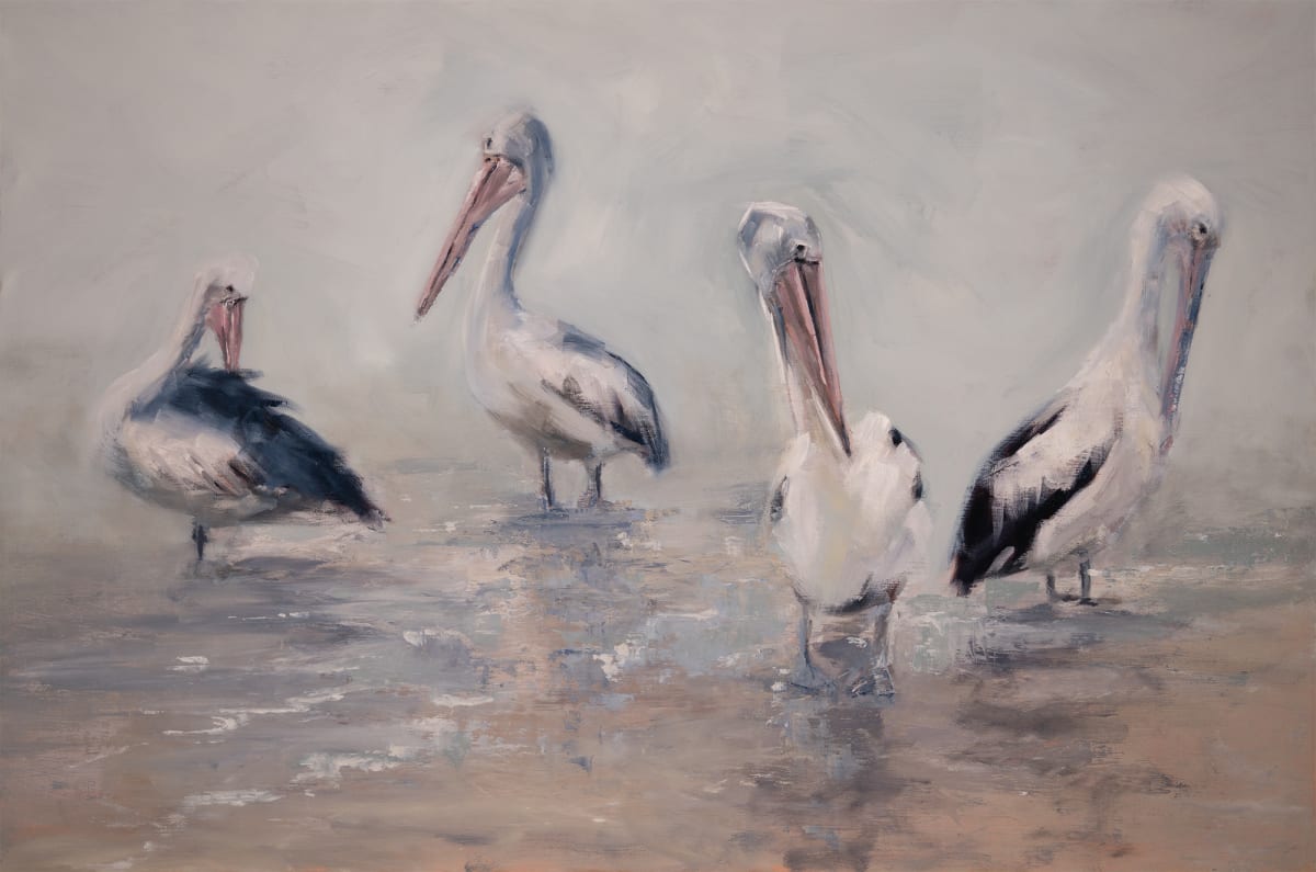 Noosaville Pelicans by Jason Hawkins 