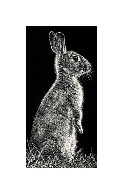 Alert, Image 1.