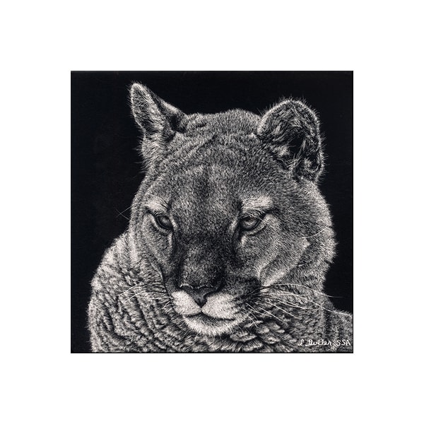 Languid by Lonetta Avelar, Image 1.
