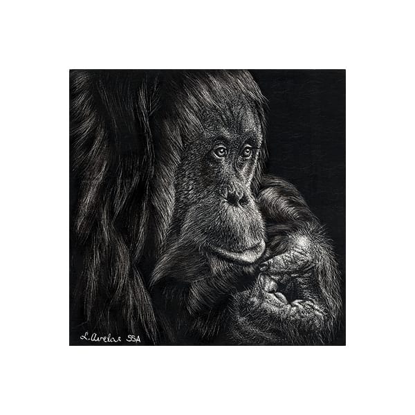 Perplexed by Lonetta Avelar, Image 1.