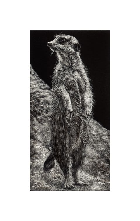 Scout by Lonetta Avelar, Image 1.