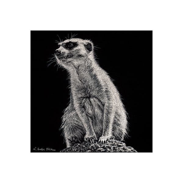 Sentry On High by Lonetta Avelar, Image 1.