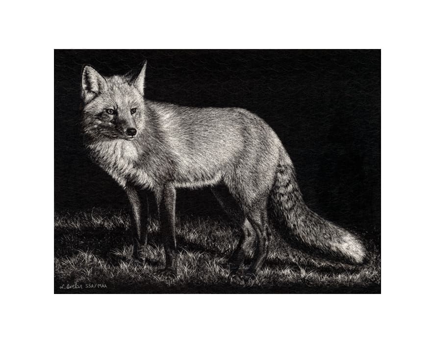 Vigilant, Image 1.