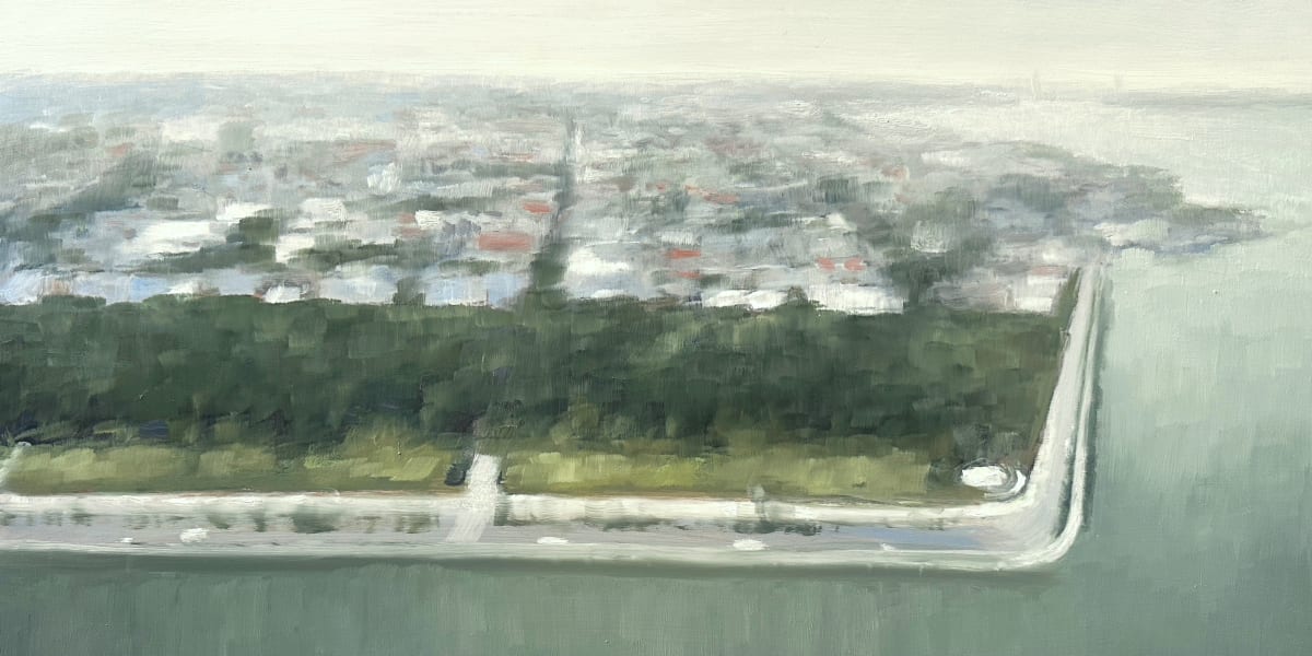 The Peninsula by Elizabeth Hasegawa Agresta 
