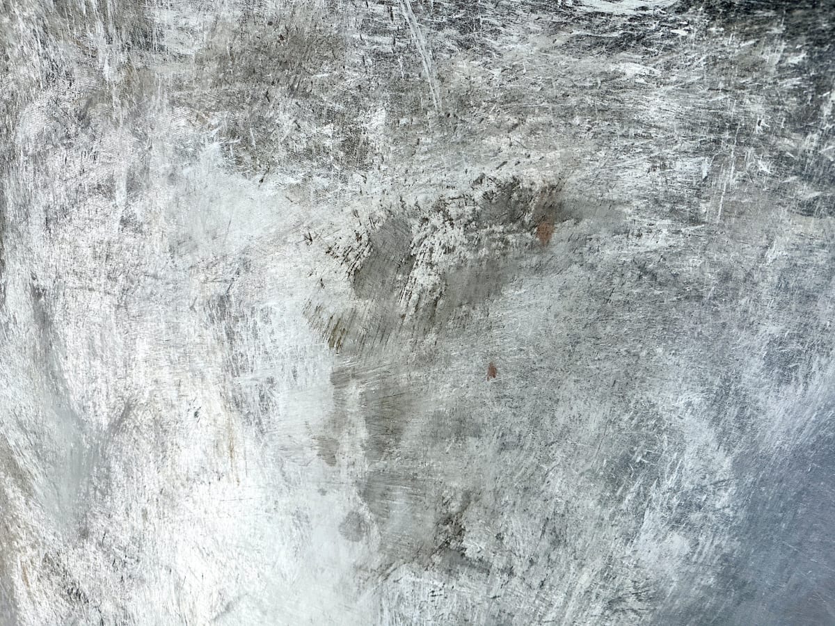 Substrate by Elizabeth Hasegawa Agresta 