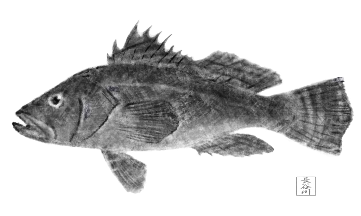Black Sea Bass by Elizabeth Hasegawa Agresta 