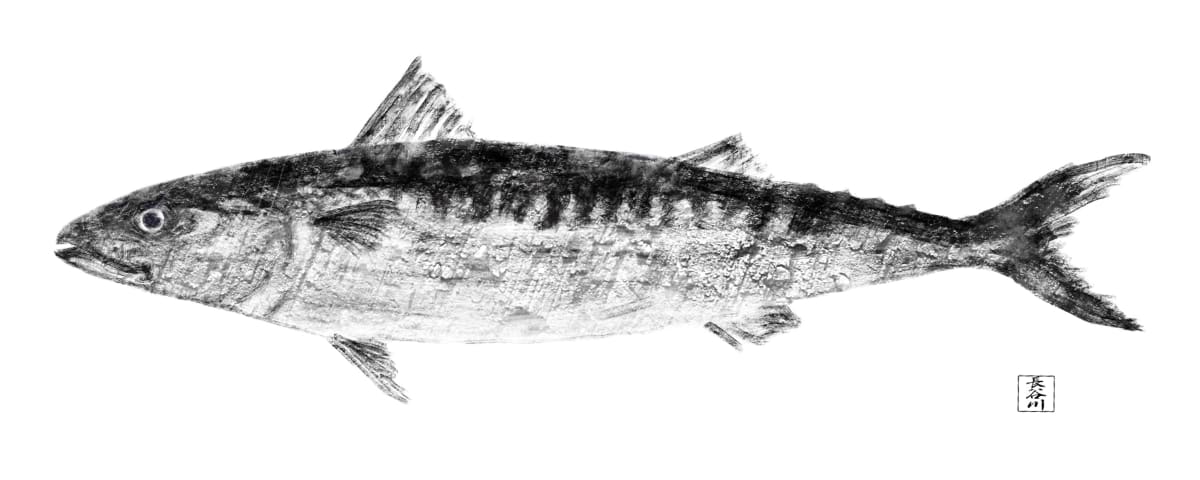 Mackerel by Elizabeth Hasegawa Agresta 