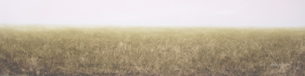 The American Landscape:  Grasslands by Elizabeth Hasegawa Agresta 