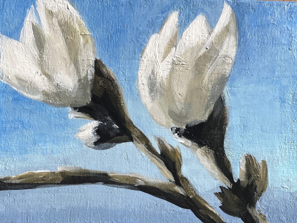 Magnolia III by Elizabeth Hasegawa Agresta 