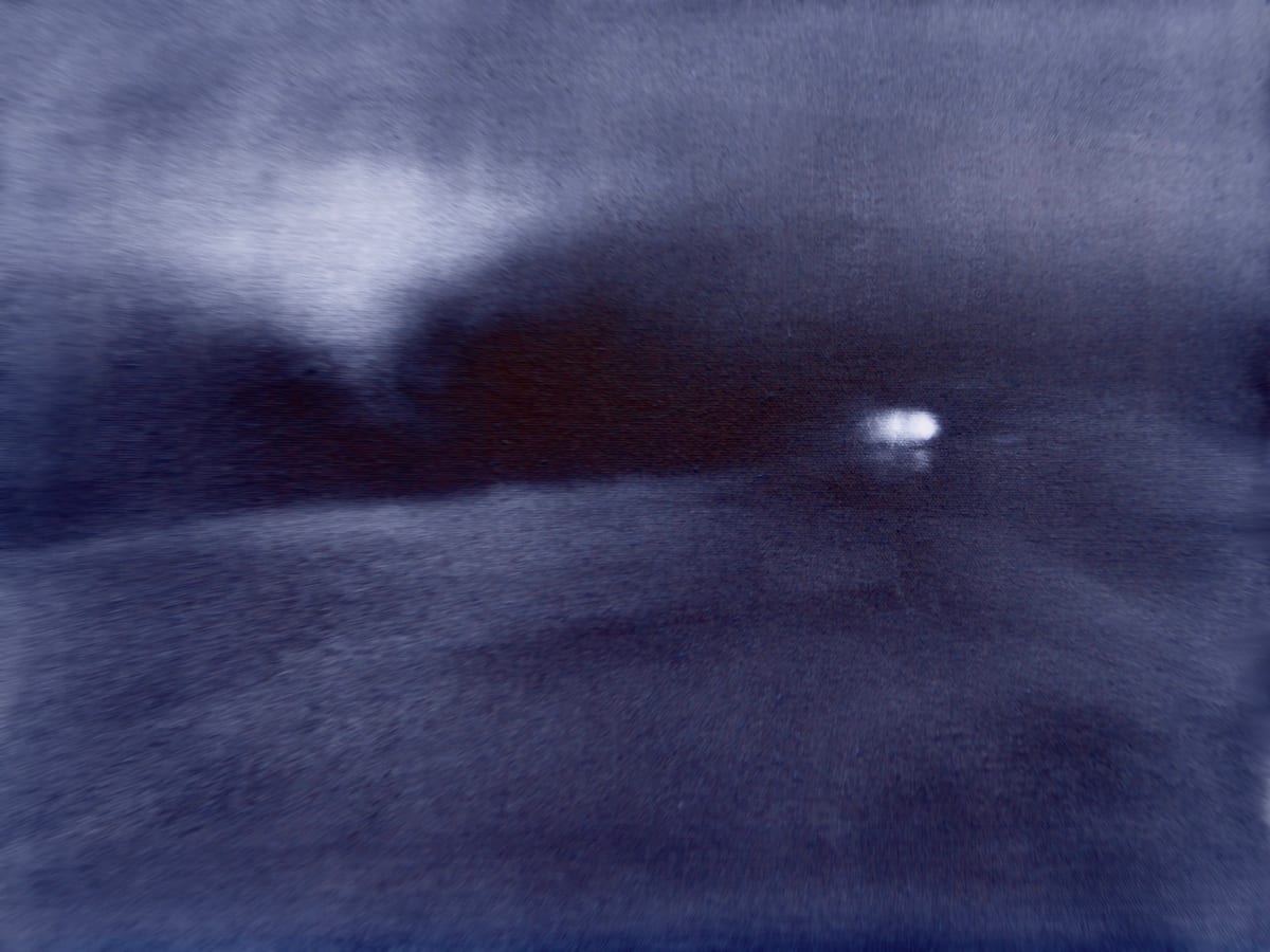 Into the Night by Elizabeth Hasegawa Agresta 