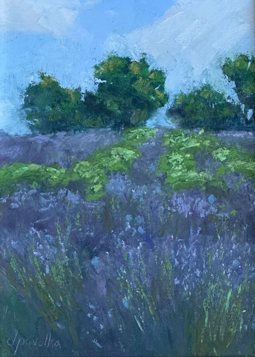 Lavender Hillside by Diane Pavelka 