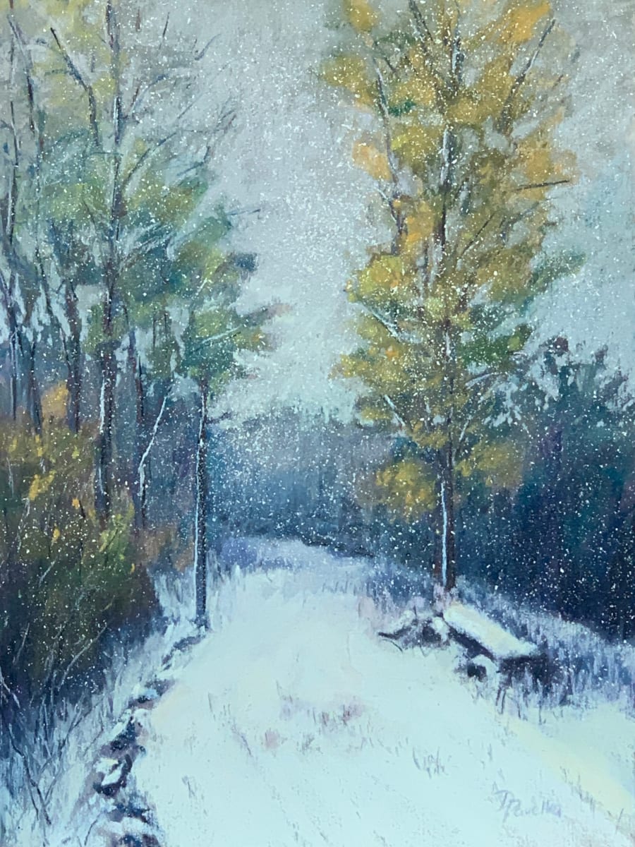 The First Snow by Diane Pavelka 