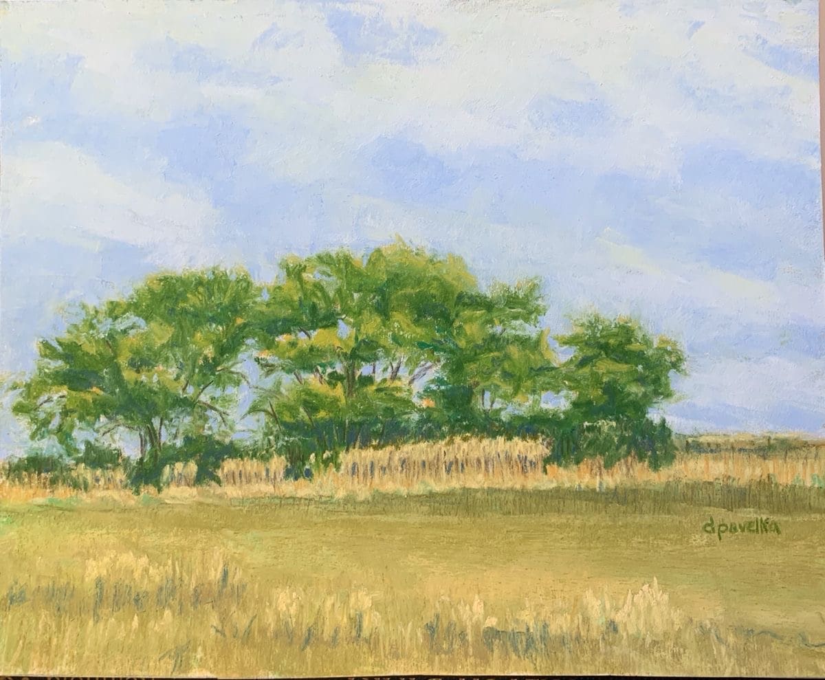 Tree Line @ the Farm by Diane Pavelka 