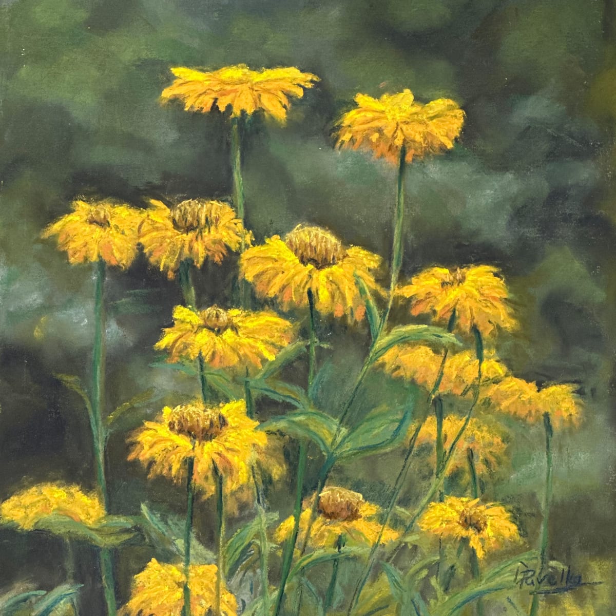 Summer Daisies by Diane Pavelka 