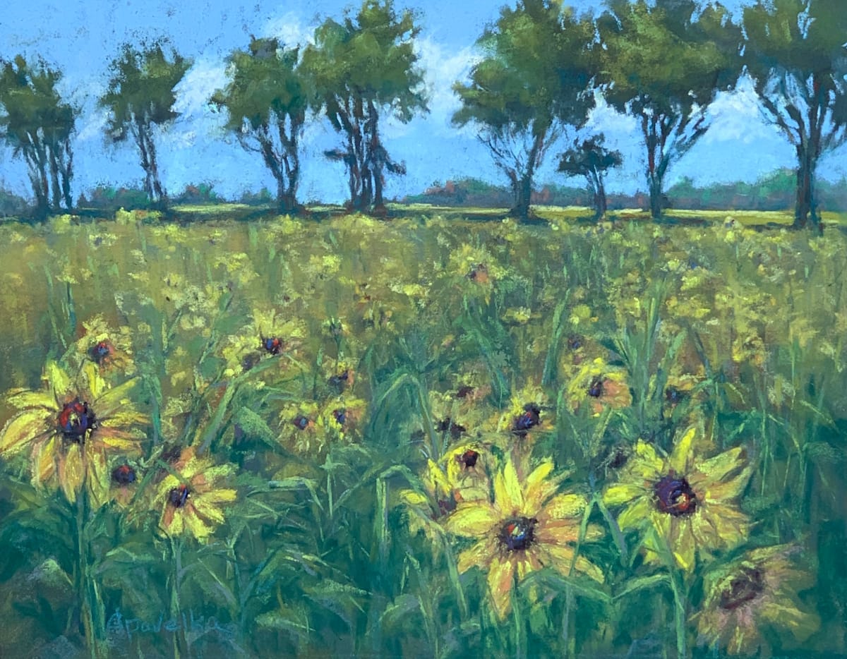 Sunflower Field by Diane Pavelka 