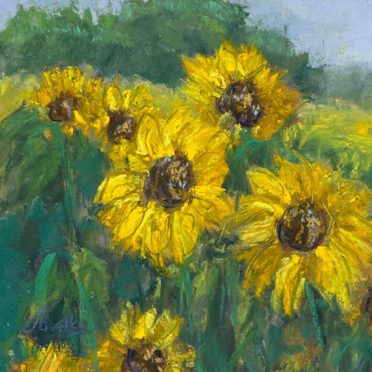 Sunflower #1 by Diane Pavelka 