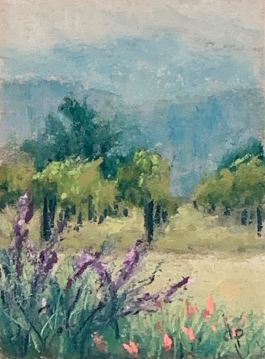 Napa series  - Vineyard Row by Diane Pavelka 