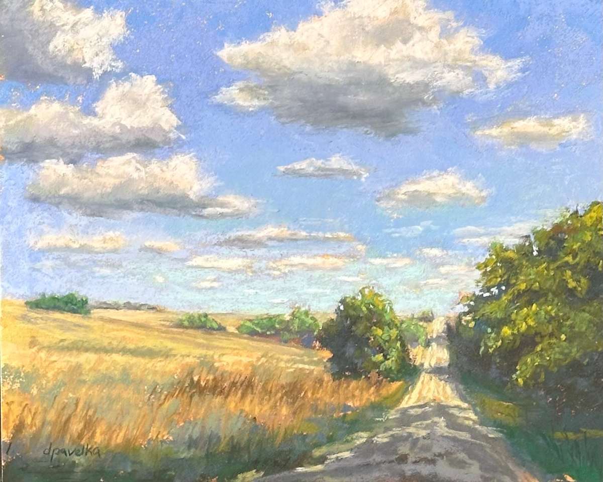 Mentor Road in Summer by Diane Pavelka 