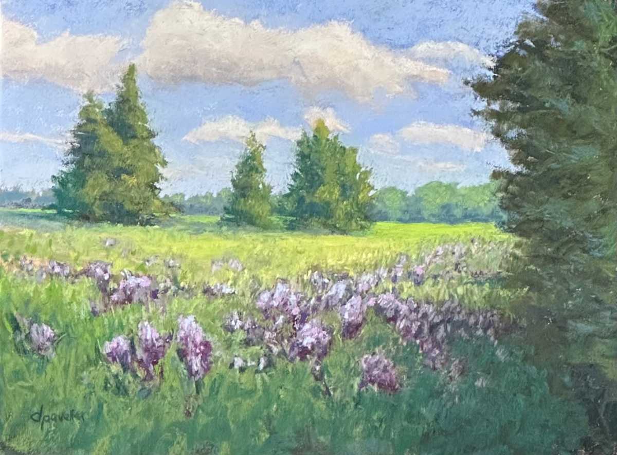 Peaceful Place by Diane Pavelka 