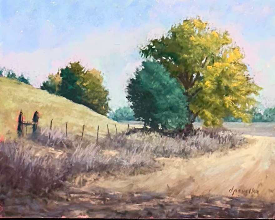 Along the Dusty Road by Diane Pavelka 