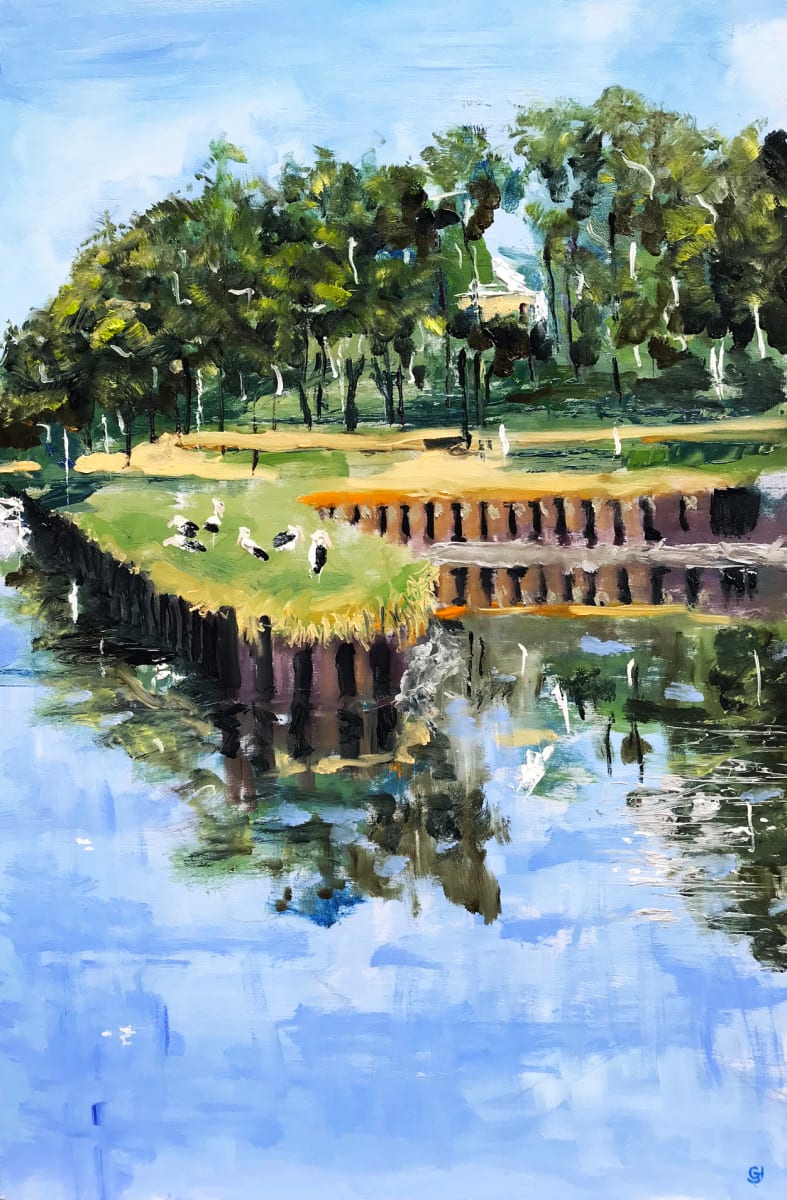 Pelicans Cooks River by Geoff Hargraves 