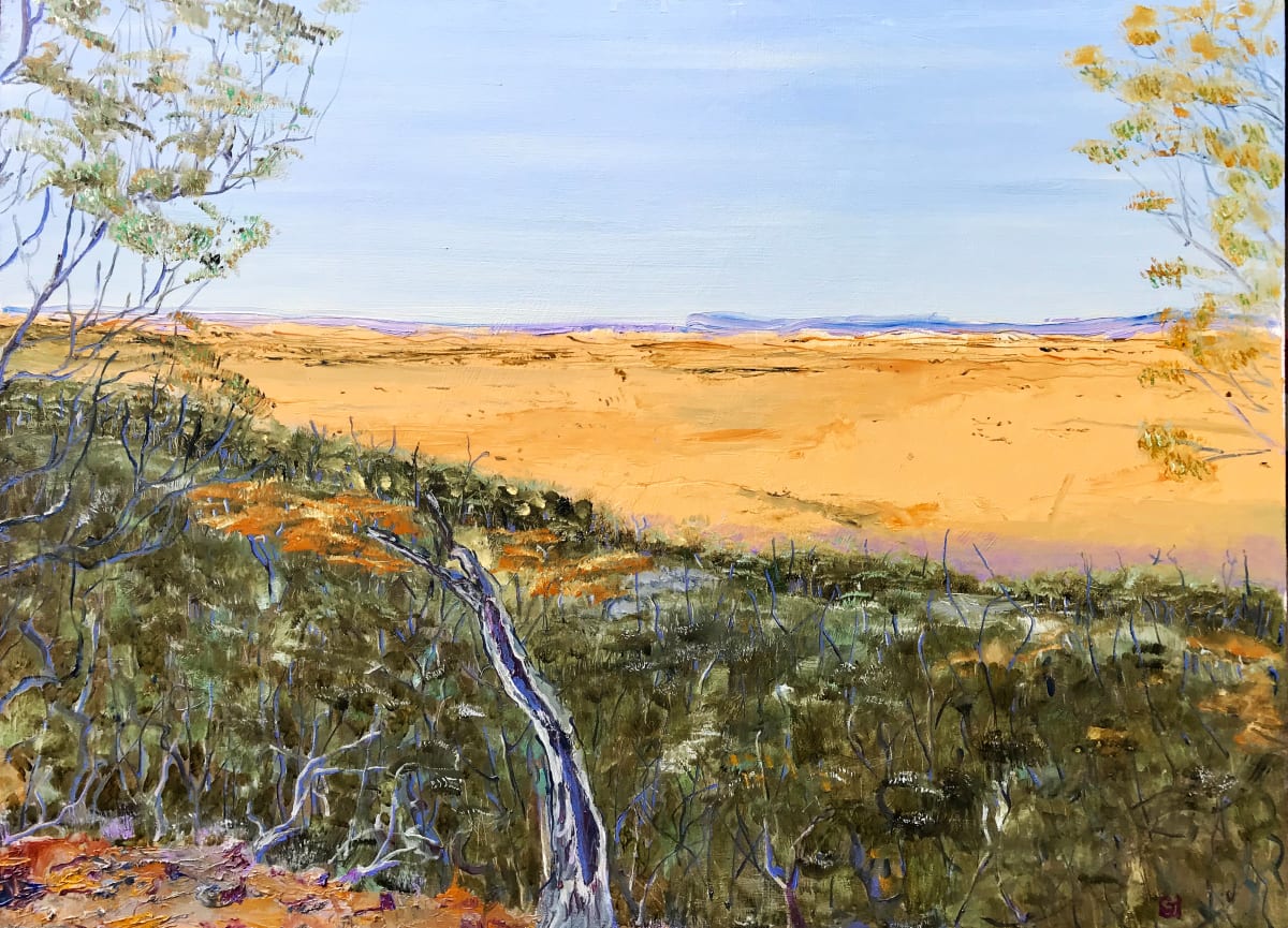 Mt Slowcombe by Geoff Hargraves 