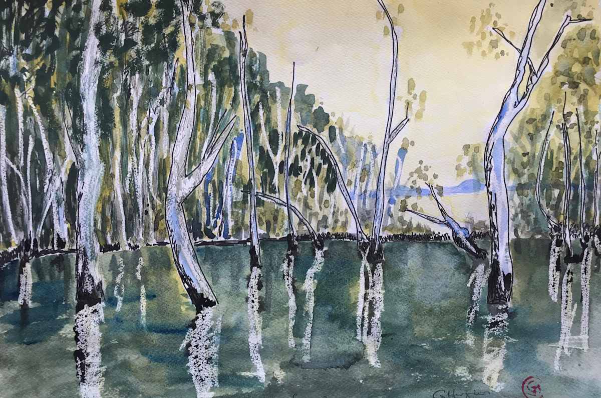 Swamp1, Image 11.