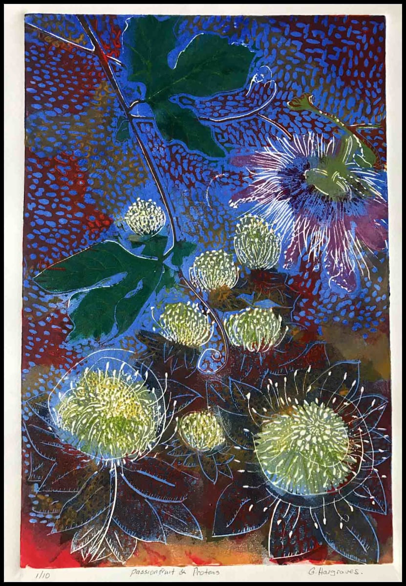 passionfruit and Proteas by Geoff Hargraves  Image: unframed, edition of 10