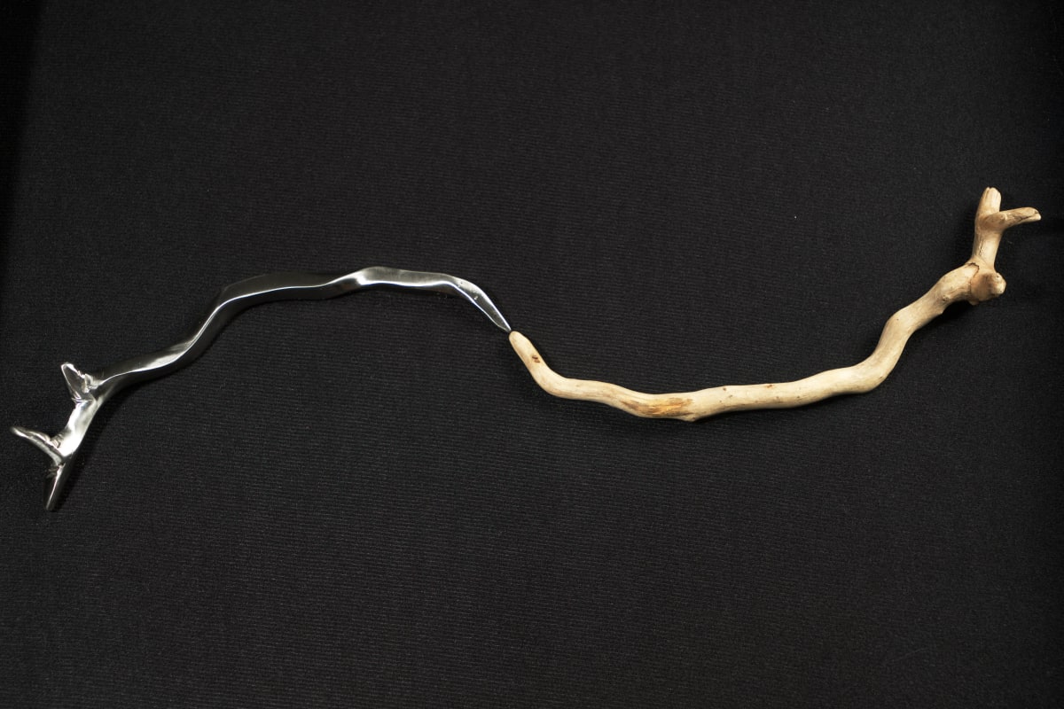 Simulacrum #1  Image: close up