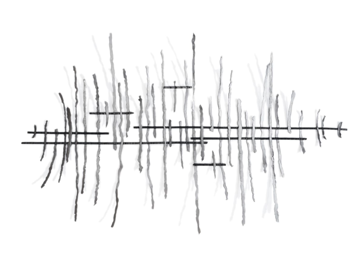 Echo 2.1 by Damon Hamm, Image 1.