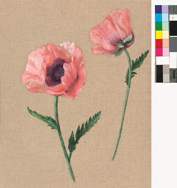 Poppies by Karen Aarre 