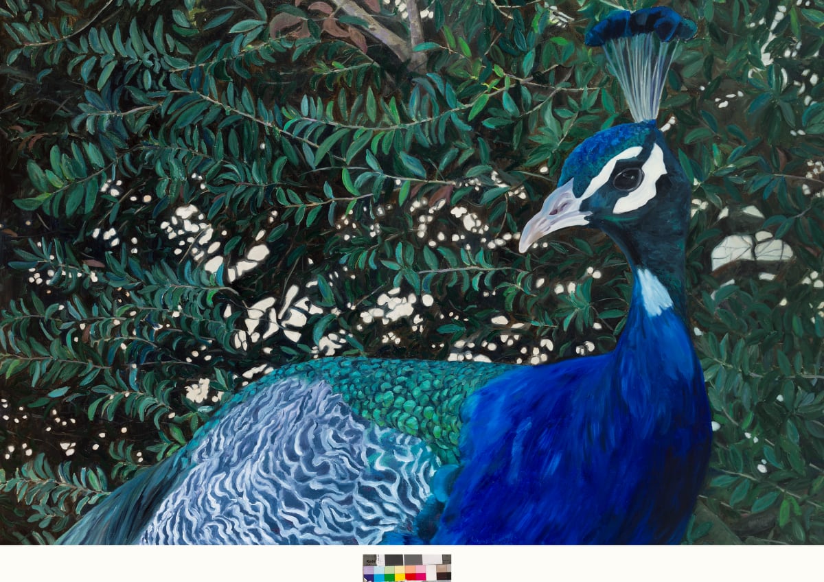 Flight of Fancy by Karen Aarre 