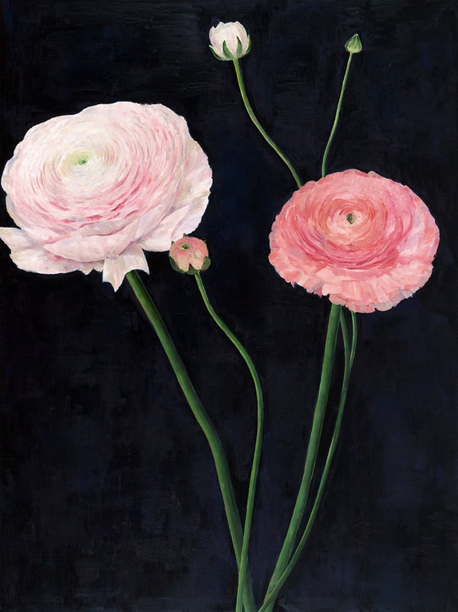 Ranunculus by Karen Aarre 