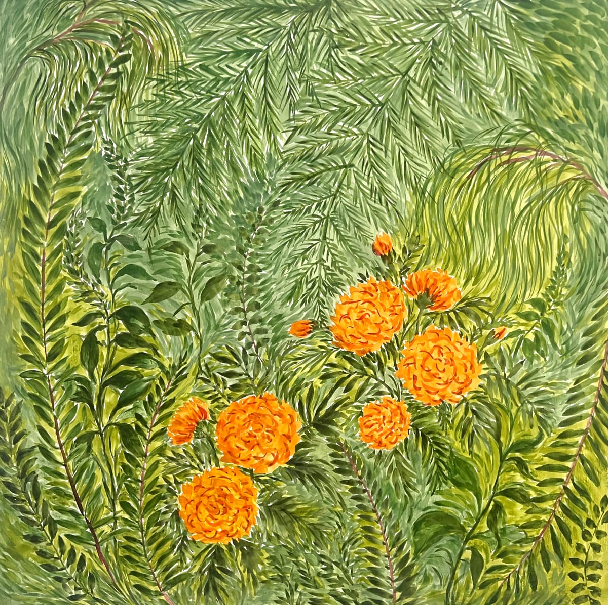 Marigold amongst the Ferns by Christopher Roch 