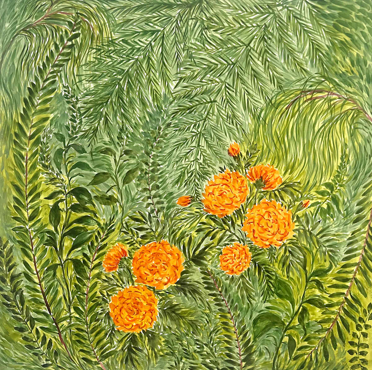 Marigold amongst the Ferns by Christopher Roch, Image 2.