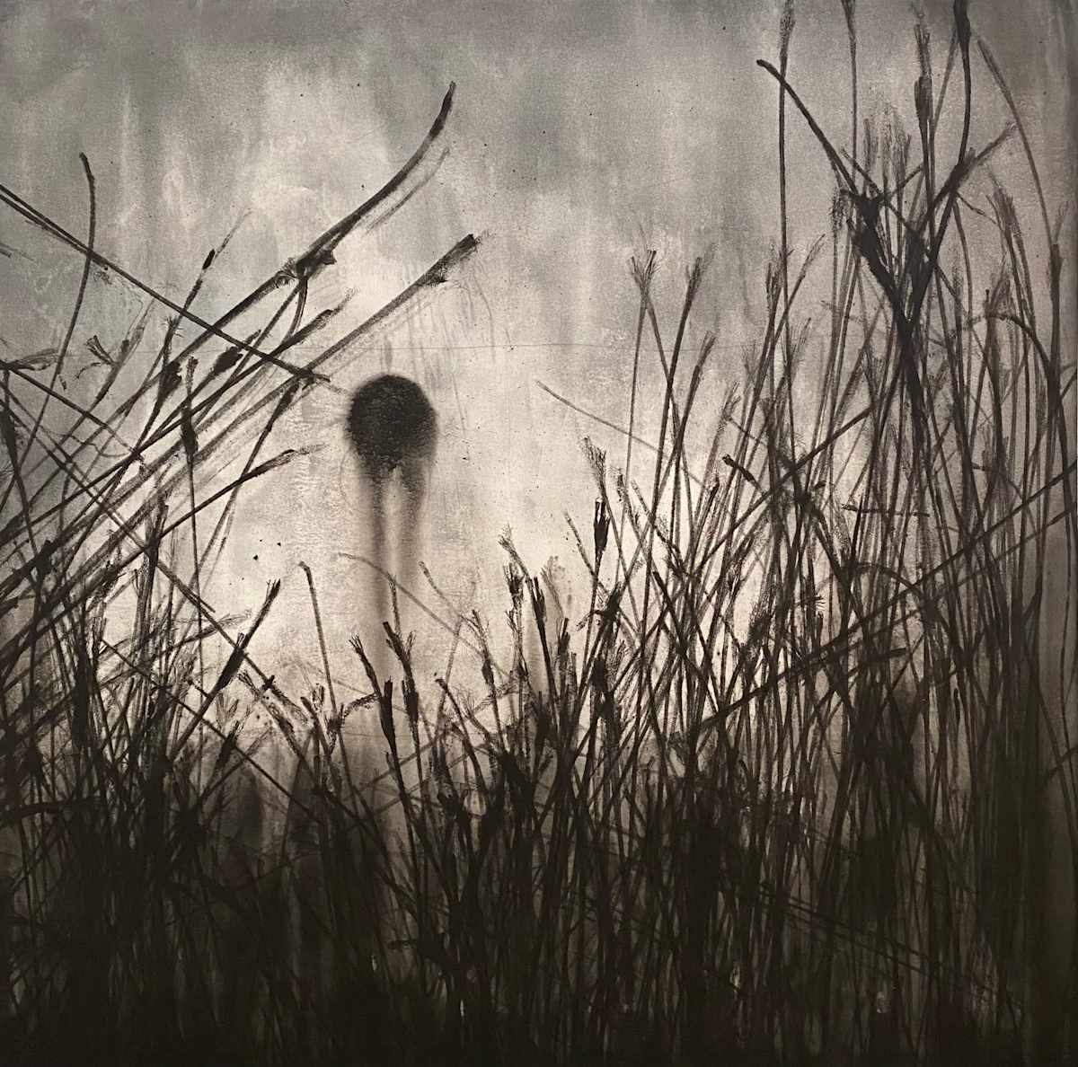 Untitled 11 by Gabriele Marangoni, Image 1.