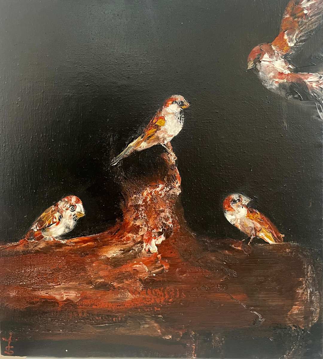 3 Sparrow Study by Garth Steeper, Image 1.