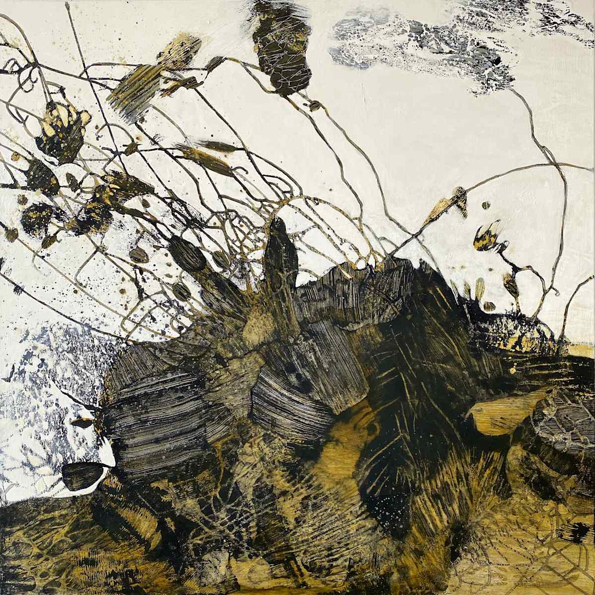 Clear-Sighted Dreaming - FFF288 by Shar Coulson 